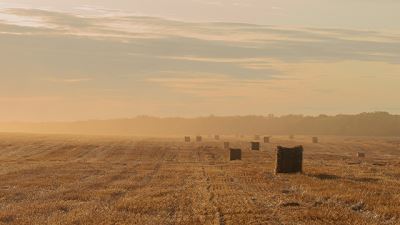 數(shù)字鄉(xiāng)村