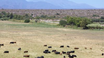 自然保護地智能管理系統